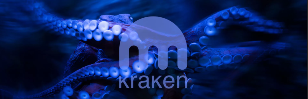 Kraken: An All-Encompassing Staking Platform