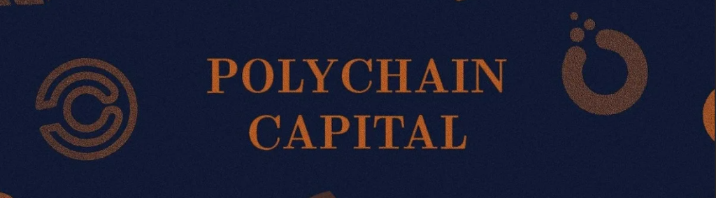 Among other investors, it has received investments from the leading funds including Polychain Capital and Draper Associates, and others.