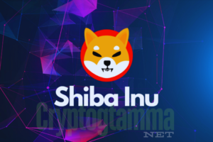 Shiba Inu